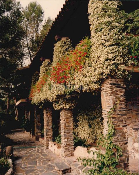 Foto 7f6cb76c-0704-420e-82ca-6d0191fb13f6. Xalet amb xemeneia calefacció aparcament piscina a Calders