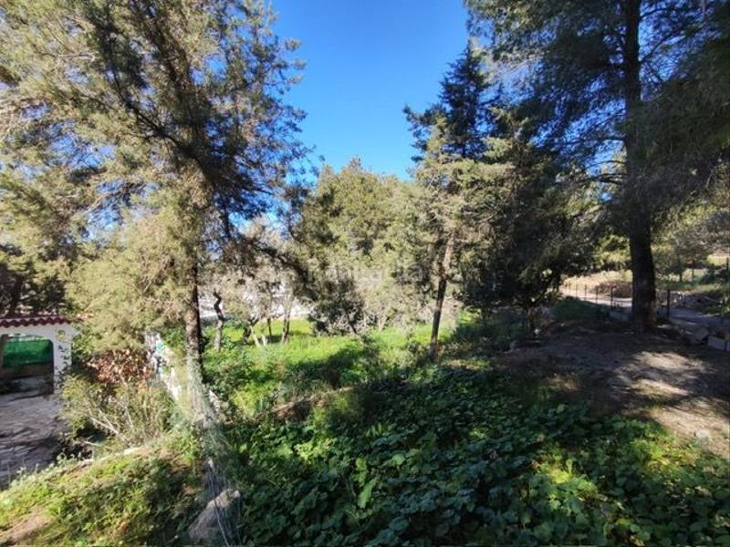 Foto 75736a32-4140-4798-ab5a-55fe41253005. Casa  de campo en san josé en Sant Josep Sant Josep de sa Talaia