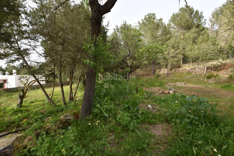 Foto d358570f-8573-4700-92c7-6db5f31dabf0. Casa  de campo en san josé en Sant Josep Sant Josep de sa Talaia