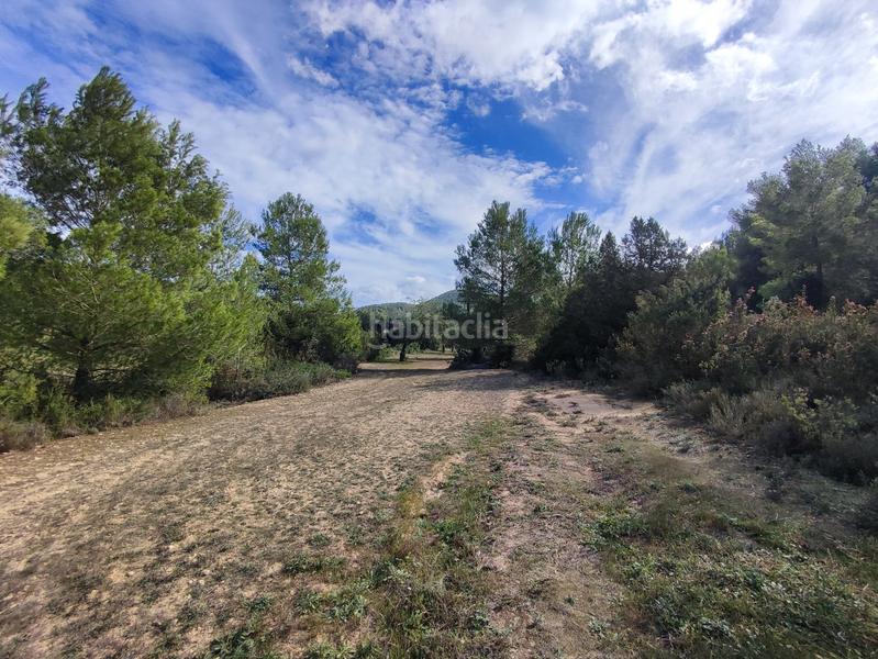 Foto 3cd8147a-57f1-4280-8393-7469c13c2d1d. Maison dans Sant Josep Sant Josep de sa Talaia