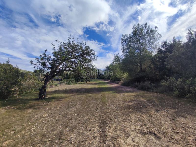 Foto cdf2a67e-1884-4aad-b7ee-fa6016f1024c. Maison dans Sant Josep Sant Josep de sa Talaia