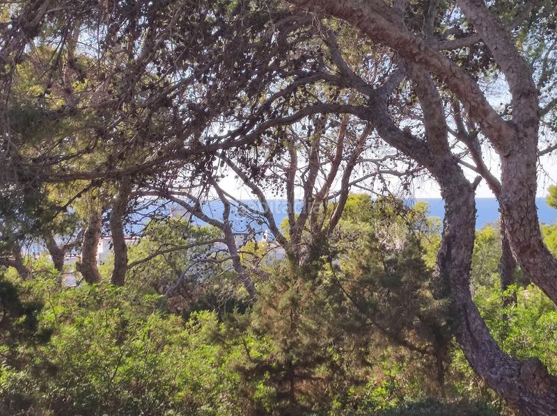 Foto 031d5a72-0e27-411e-b8ca-1ab138d13447. Casa con riscaldamento piscina in Cala Vedella-Cala Tarida Sant Josep de sa Talaia