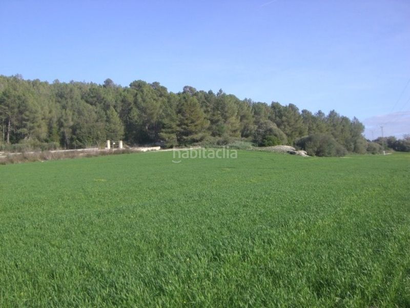 Foto 321473dd-4507-4c54-b9b4-00eb3882fd00. Masía finca rústica con proyecto de venta en Algaida