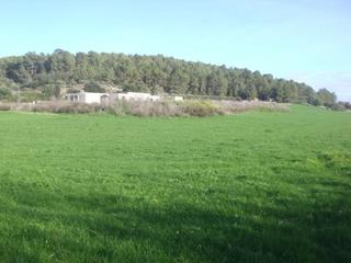 Bauernhof in Algaida. Finca rústica en algaida con proyecto en venta