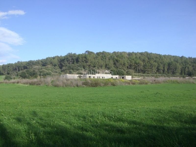 Foto 381f8ff1-1075-4dd2-8262-162737aad41a. Bauernhof in Algaida