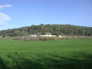 Masia a Algaida. Finca rústica en algaida con proyecto en venta