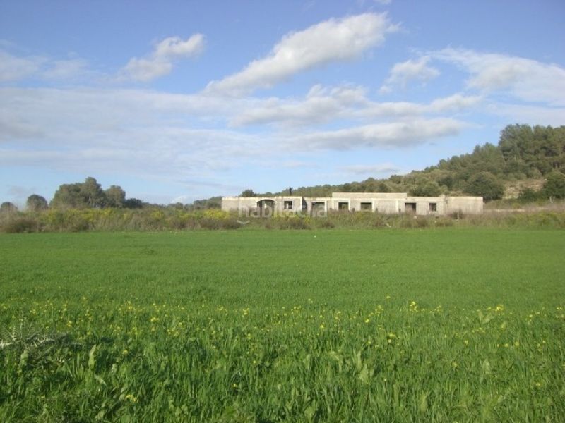 Foto 8d5032cd-4b69-49ea-a4b0-95a269909995. Masía finca rústica con proyecto en venta en Algaida