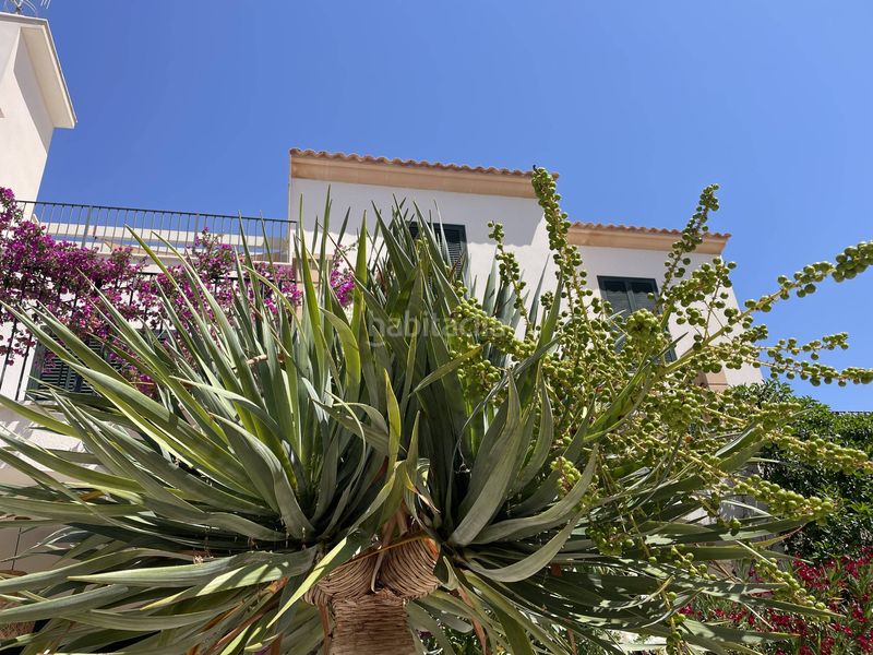 Foto 15c02d3a-66d5-4290-8956-82865077207c. Flat in cala Santanyí Santanyí