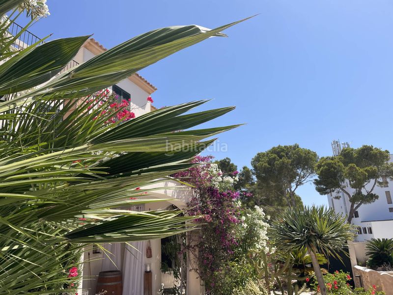 Foto 7241f874-ead0-4c75-98bd-67713987ba1f. Flat in cala Santanyí Santanyí