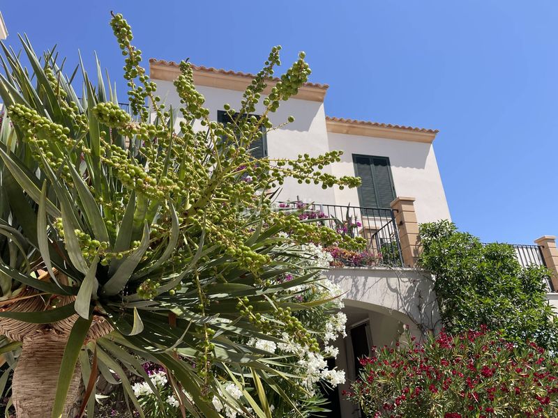 Foto ed0d5f04-39b5-4fca-85b9-84b6b262d1a5. Flat in cala Santanyí Santanyí