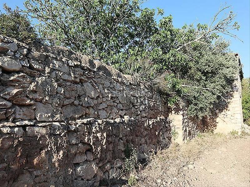 Foto 0f2815b4-3e64-4238-901b-234dd46daeec. Mas dans Ulldecona