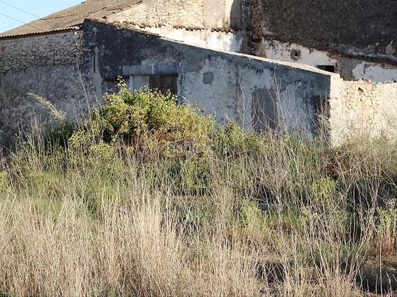 Foto 264c3610-8775-4383-a5e0-2cc10cbd0f15. Mas dans Ulldecona