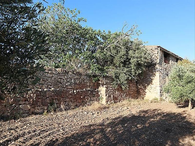 Foto 8240b91d-dbb1-4fc8-b06d-86fd42ba3300. Mas dans Ulldecona