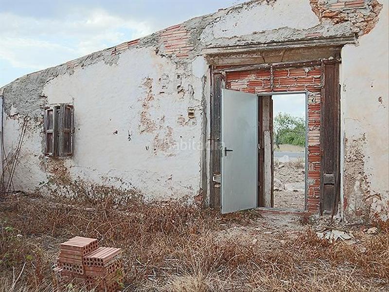 Foto 8fffc014-bfbf-4d92-bd6b-ec90c693f45a. Mas dans Ulldecona