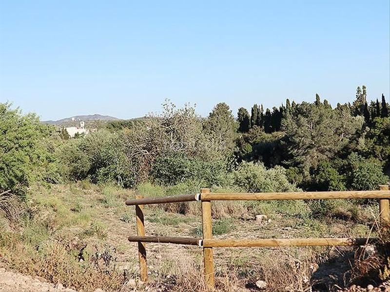 Foto a4823de6-7c59-488b-bdd7-a254de446a14. Mas dans Ulldecona