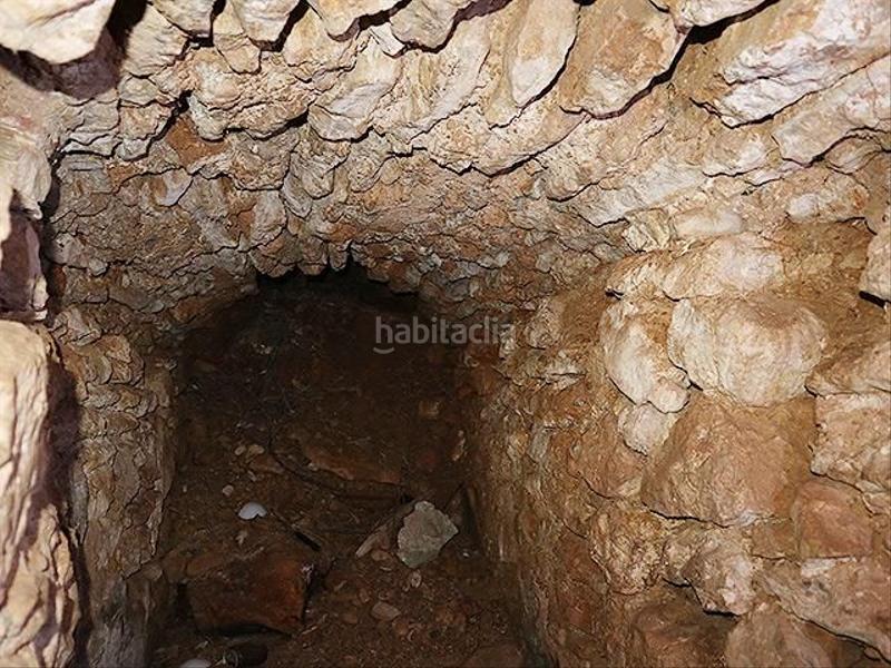 Foto c5090d64-b65a-4a27-8324-d932d7c92f4d. Mas dans Ulldecona