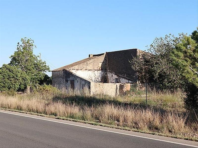 Foto d43cfc68-e83e-4ece-b3a7-e7b4ab517381. Mas dans Ulldecona