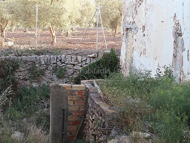 Foto d6e84e23-e4d8-4545-8e5b-af1c634d2128. Mas dans Ulldecona