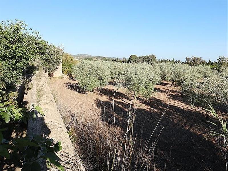 Foto f1054429-c239-457f-ad3d-b19d65bf742f. Mas dans Ulldecona