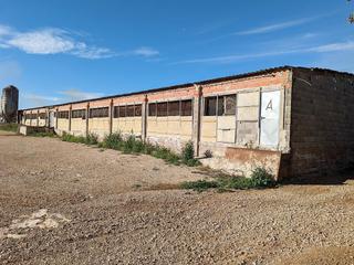Nau industrial a Ulldecona. Aumente sus ganancias con nuestra granja de 16.000 pavos en ulld