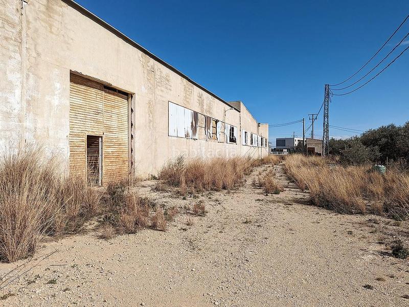 Foto 3da9b6f6-5c9a-4e21-afd6-b9454cd7e23b. Bâtiment à usage industriel dans Sénia (La)