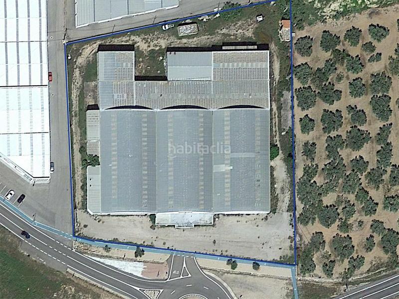 Foto 492422be-59f3-40ce-80d3-1b084faebda4. Bâtiment à usage industriel dans Sénia (La)