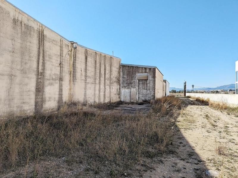 Foto 83e67322-0b01-4690-8270-af84689b00be. Bâtiment à usage industriel dans Sénia (La)