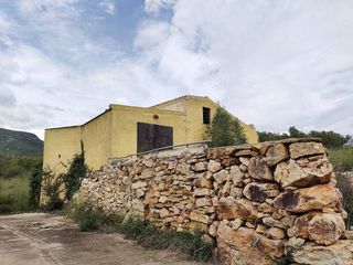Mas  Partida sinyoles 76. Casa rustica y finca de olivos arbequina de 68.054m con pozo de