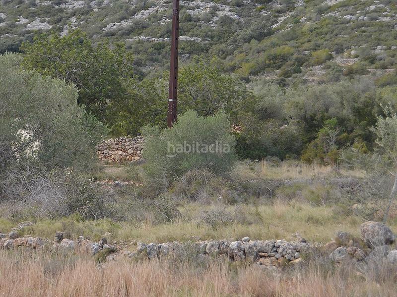 Foto 0e573f09-ef3d-425e-acc0-a85f7692564f. Terrain résidentiel dans pont godall/dressera/ermita dans Ulldecona