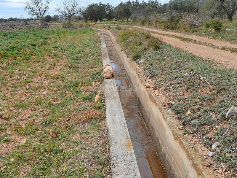 Foto 320d7474-67c6-4883-95b8-50670193a9c7. Terrain résidentiel dans pont godall/dressera/ermita dans Ulldecona
