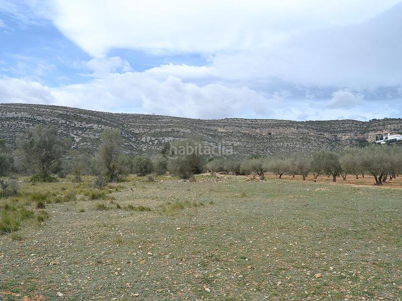 Foto 4b746123-8a8d-453b-b2a5-6959aed303b4. Terrain résidentiel dans pont godall/dressera/ermita dans Ulldecona