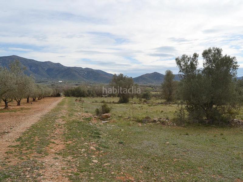 Foto 622b57ec-f3c3-4ed1-bee6-fd2935bc2065. Terrain résidentiel dans pont godall/dressera/ermita dans Ulldecona