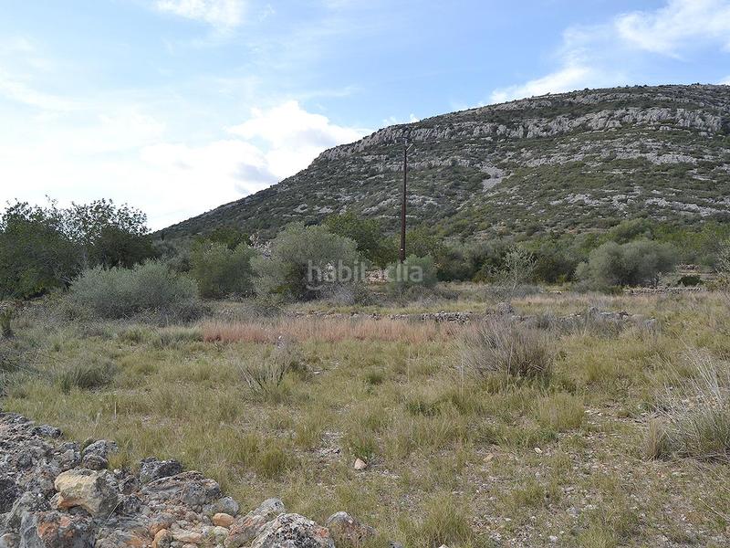 Foto 857020de-f200-4112-8269-9ce839847652. Terrain résidentiel dans pont godall/dressera/ermita dans Ulldecona