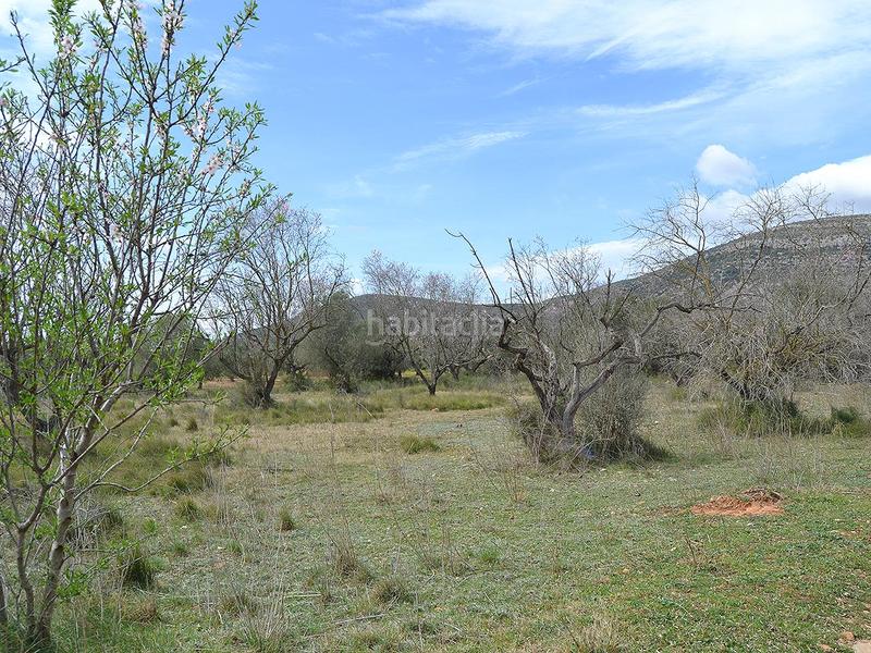 Foto 9831c750-0f8b-4f17-a6de-8041610416c0. Terrain résidentiel dans pont godall/dressera/ermita dans Ulldecona