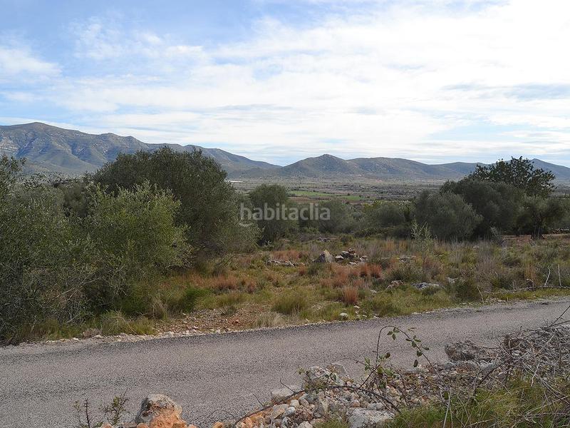 Foto a14297da-4f71-4f45-95fc-2e4839e0d0a0. Terrain résidentiel dans pont godall/dressera/ermita dans Ulldecona