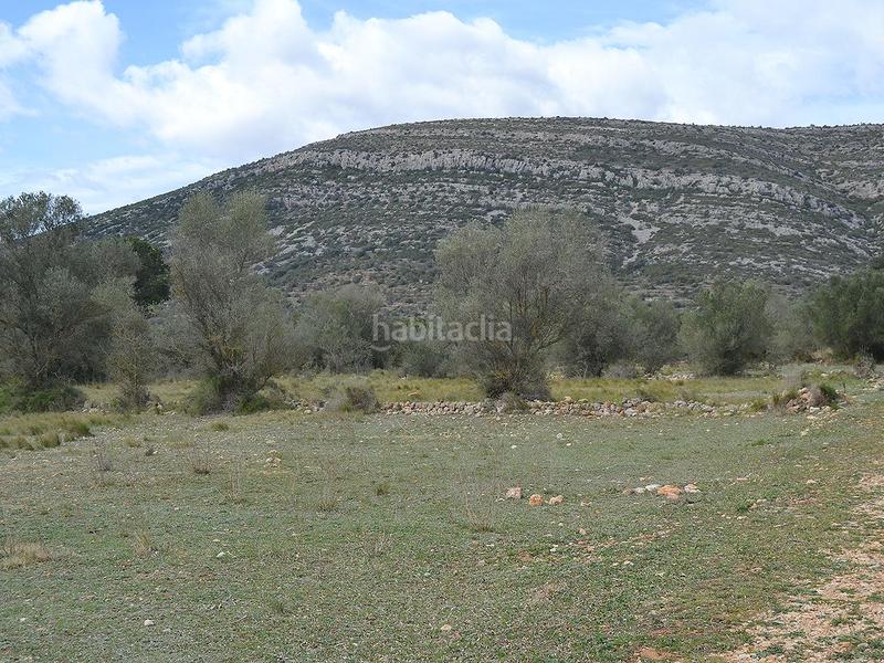 Foto a4c0f7b9-7e72-46a3-bba7-be4726a6ddaf. Terrain résidentiel dans pont godall/dressera/ermita dans Ulldecona