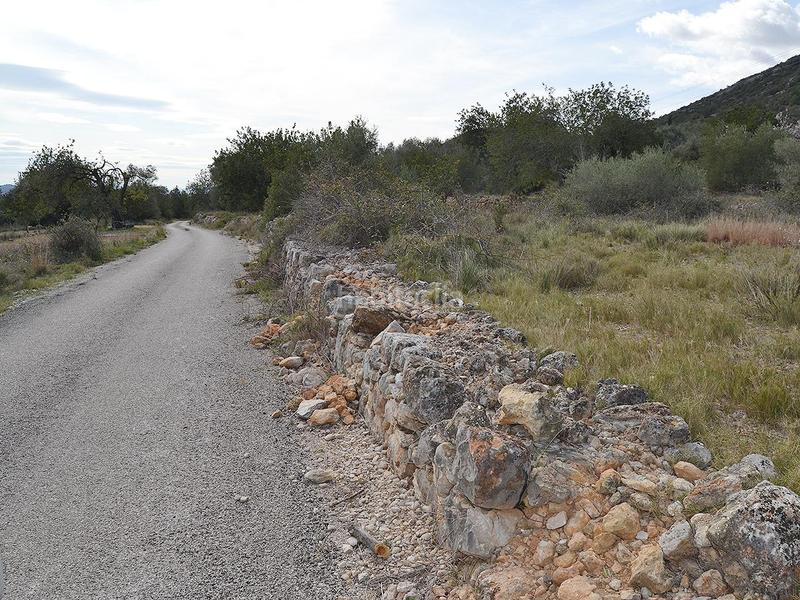 Foto f77f4563-1d81-42f1-98e5-80d52e12c1ad. Terrain résidentiel dans pont godall/dressera/ermita dans Ulldecona
