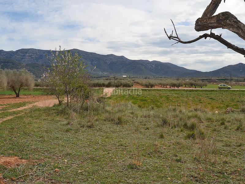 Foto f8867146-35c6-4e45-a1d5-77d4ef3f6065. Terrain résidentiel dans pont godall/dressera/ermita dans Ulldecona