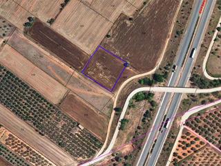 Terreny residencial  Les codines. Finca rústica de secano de 3.054m en codines, ulldecona tarragon