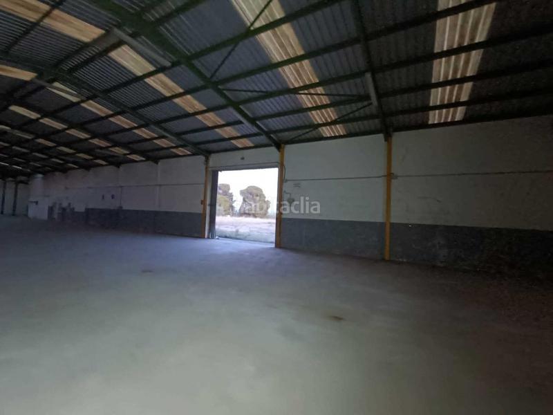 Foto 2207efba-e324-4171-9b18-d7bb740396a5. Nau industrial a Sénia (La)