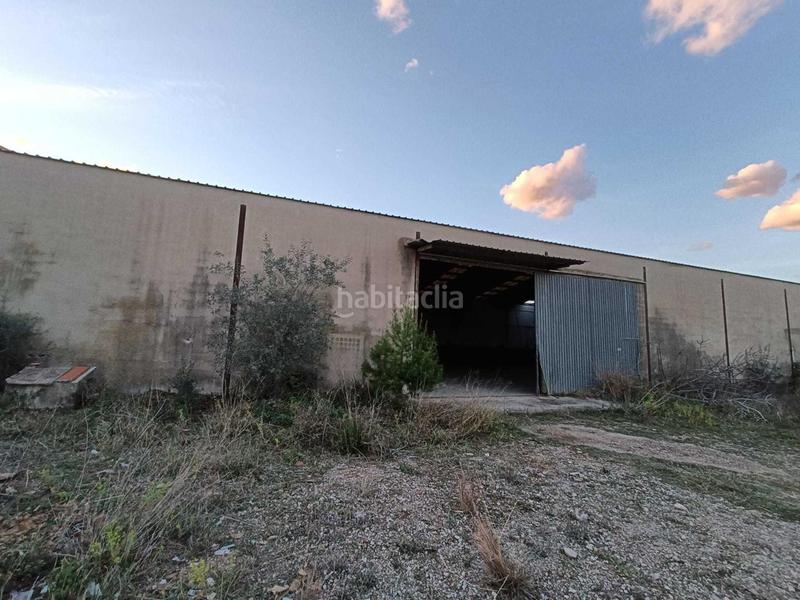 Foto b0af7d12-54d0-4931-8f2b-55ced341db9f. Nau industrial a Sénia (La)