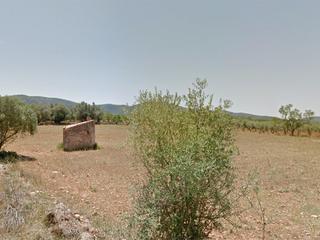 Masia  Plans castellets. Casa de campo autóctona de 20m con finca rustica de secano de 8.
