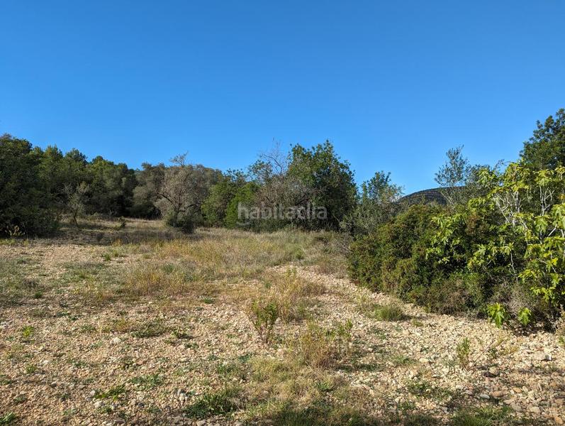Foto 93371b55-127f-4dfc-ab1a-48a2e7f4d601. Masía finca rústica de secano de 12.060 m en partida pantanet, tarragona. en Ulldecona