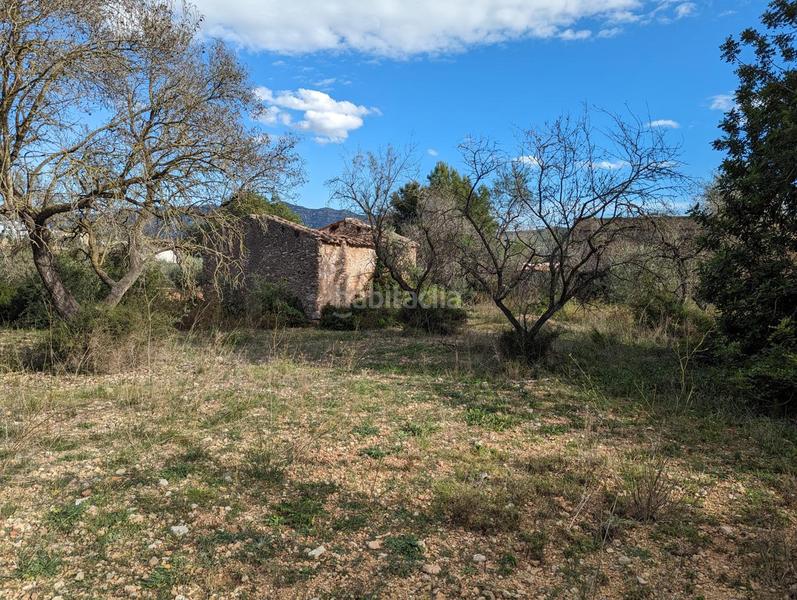 Foto ba50d193-689a-49f4-9321-d39fe2196277. Masía finca rústica de secano de 12.060 m en partida pantanet, tarragona. en Ulldecona