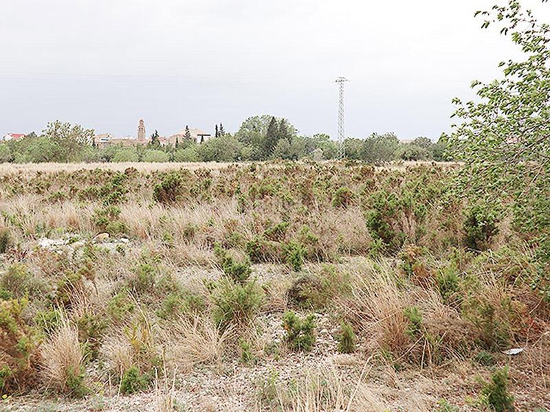 Foto 0ca6c0b4-feaa-46a9-8400-62aca83a61ef. Rural plot in Ulldecona