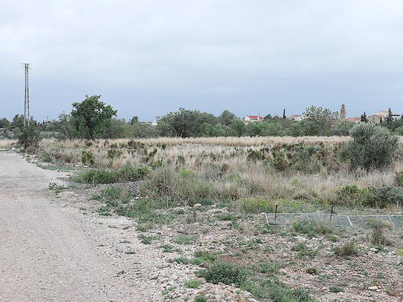 Foto 0df7e83a-a285-4ee9-b354-4f7fa31dab75. Rural plot in Ulldecona