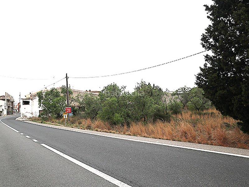 Foto 102e23c1-b6e1-440b-89ea-4cf0432075a7. Rural plot in Ulldecona