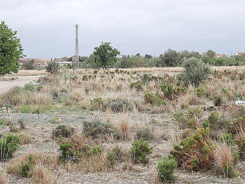 Foto 5fc1a65b-910c-4af4-b07c-c84c131a54f2. Rural plot in Ulldecona