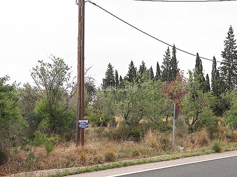 Foto 6e542035-bb1f-47a7-826f-623e40b9ed3a. Rural plot in Ulldecona