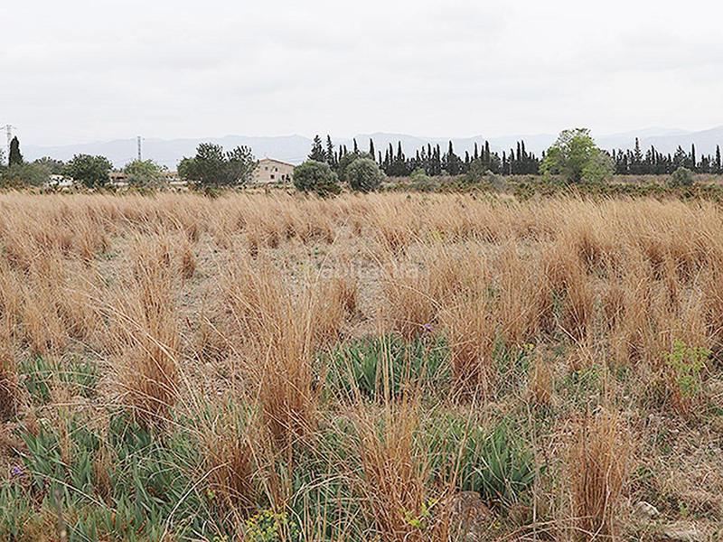 Foto 6fd88276-b35e-4f90-8735-ff3d1a5f2684. Rural plot in Ulldecona